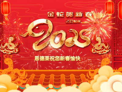 巳巳如意，蛇年大吉！恩德萊全體成員給您拜年了！