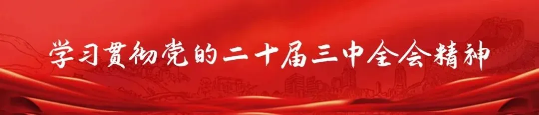 學(xué)習(xí)貫徹黨的二十屆三中全會精神