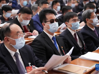 全國(guó)人大代表王永澄：讓盲人群體被更多人“看見”