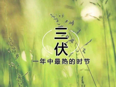恩德萊提醒您：三伏天藏著這么多傳統文化